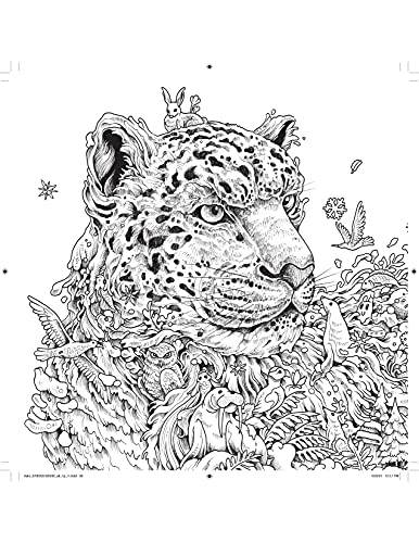 Colormorphia: Celebrating Kerby Rosanes's Coloring Challenges [Book]