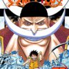 One Piece, Vol. 57