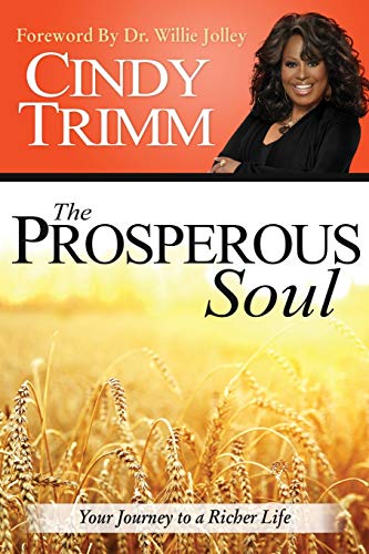 The Prosperous Soul: Your Journey to a Richer Life