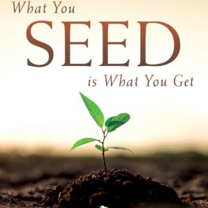 What You Seed Is What You Get: Seeding Your Way to Success